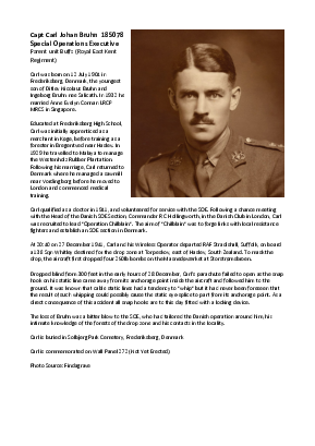 A preview of a PDF biography for Bruhn, Carl Johan